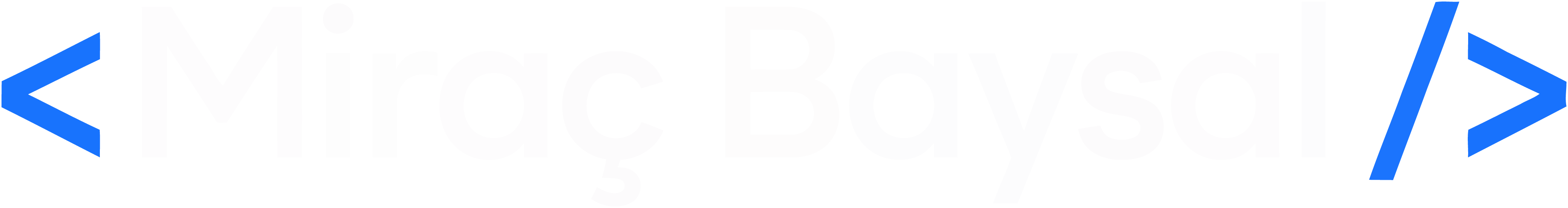 Baysal Logo